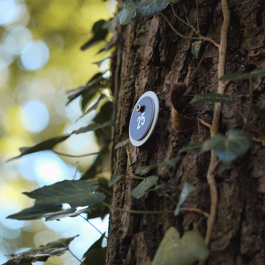 Ruhewald Lintorfer Mark Wertmarke am Baum