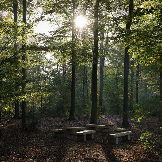 Waldplatz mit Bänken im Kreis als Andachtsplatz